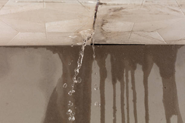 Professional Sewage Cleanup technician working in Errol, NH